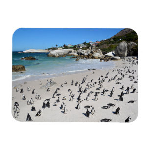 Magnet Flexible Plage Afrique du Sud de rochers de pingouins