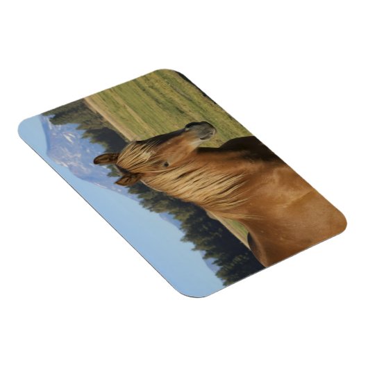 Magnet Flexible Plage Cascade | Cheval de châtaignes (Côté Droit)