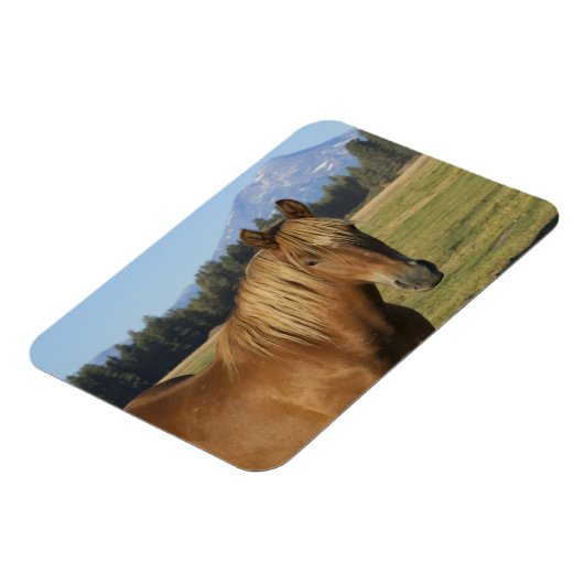 Magnet Flexible Plage Cascade | Cheval de châtaignes (Côté Gauche)