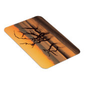 Magnet Flexible Plage de Driftwood à Sunrise Jekyll Island Georgia (Côté Droit)