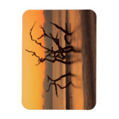 Magnet Flexible Plage de Driftwood à Sunrise Jekyll Island Georgia (Vertical)