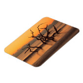 Magnet Flexible Plage de Driftwood à Sunrise Jekyll Island Georgia (Côté Gauche)