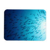 Magnet Flexible Plage de poissons (Horizontal)