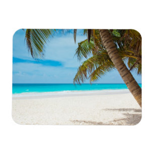 Magnet Flexible Plage du Paradis tropical