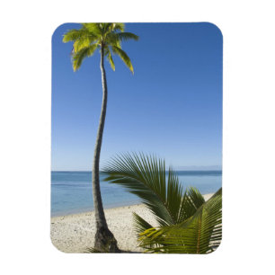 Magnet Flexible Plage sur le continent Aitutaki, Îles Cook