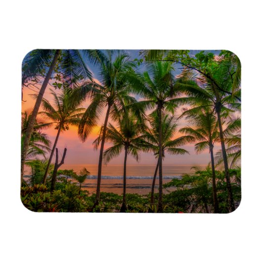 Magnet Flexible Plage tropicale | Parc national du Corcovado (Horizontal)