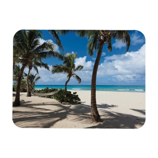 Magnet Flexible Plages tropicales | Anguilla Beach, Palm Tree (Horizontal)
