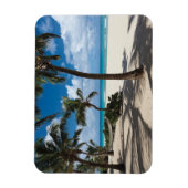 Magnet Flexible Plages tropicales | Anguilla Beach, Palm Tree (Vertical)