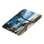 Magnet Flexible Plages tropicales | Anguilla Beach, Palm Tree (Côté Gauche)
