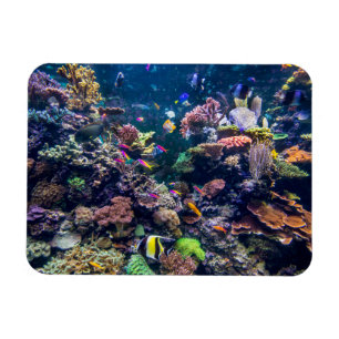 Magnet Flexible Plages tropicales   Corail sous-marin Reef
