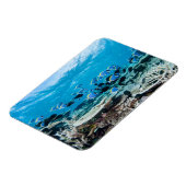 Magnet Flexible Plages tropicales | Esturgeon Parmi le corail (Côté Gauche)