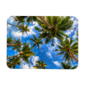 Magnet Flexible Plages tropicales | Palmiers sur le ciel bleu (Horizontal)