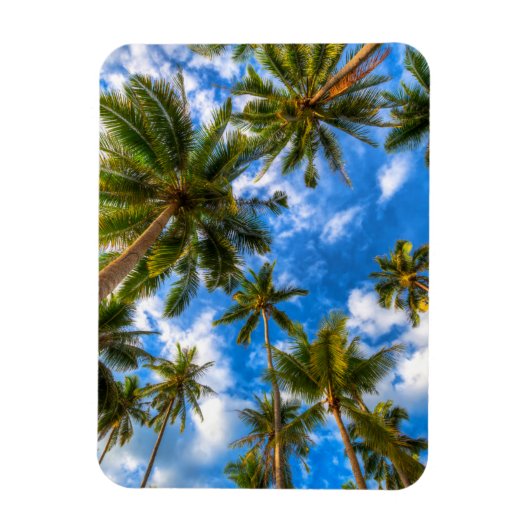 Magnet Flexible Plages tropicales | Palmiers sur le ciel bleu (Vertical)