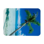 Magnet Flexible Plages tropicales | Plage du motu Tofari, Bora Bor (Horizontal)