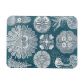 Magnet Flexible Plan directeur de la vie marine IV (Horizontal)