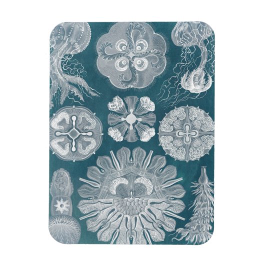 Magnet Flexible Plan directeur de la vie marine IV (Vertical)