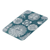 Magnet Flexible Plan directeur de la vie marine IV (Côté Gauche)