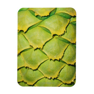 Magnet Flexible Plan rapproché de texture et de motif d'arbre