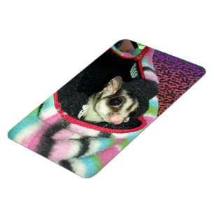 Magnet Flexible Planeur à sucre portant un Casquette