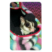 Magnet Flexible Planeur à sucre portant un Casquette (Vertical)