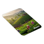Magnet Flexible Plantation de thé de Munnar Kerala Inde (Côté Droit)