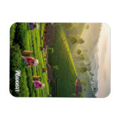 Magnet Flexible Plantation de thé de Munnar Kerala Inde (Horizontal)