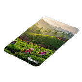 Magnet Flexible Plantation de thé de Munnar Kerala Inde (Côté Gauche)