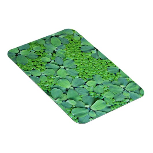 Magnet Flexible Plante (Côté Droit)