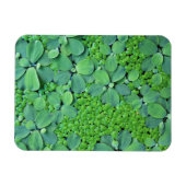 Magnet Flexible Plante (Horizontal)