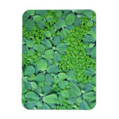 Magnet Flexible Plante (Vertical)