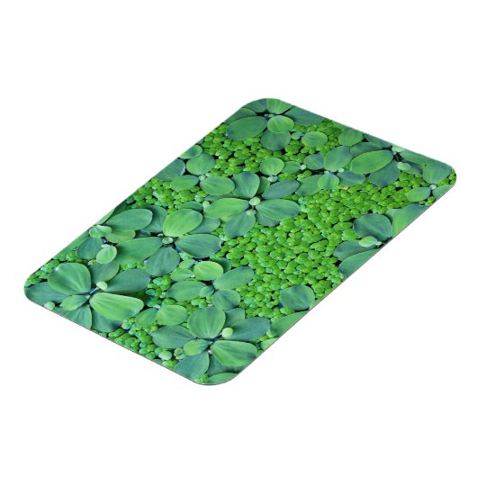 Magnet Flexible Plante (Côté Gauche)