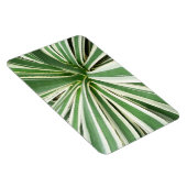 Magnet Flexible Plante Agave Vert et blanc rayé (Côté Droit)