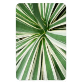 Magnet Flexible Plante Agave Vert et blanc rayé (Vertical)