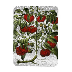 Magnet Flexible Plante de tomate