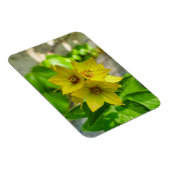 Magnet Flexible Plante du Yucca (Côté Droit)