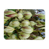Magnet Flexible Plante du Yucca (Horizontal)