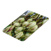 Magnet Flexible Plante du Yucca (Côté Gauche)