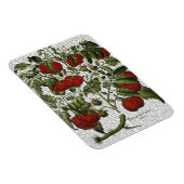 Magnet Flexible Plante tomate (Côté Droit)