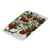 Magnet Flexible Plante tomate (Côté Gauche)