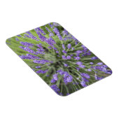 Magnet Flexible Plantes de lavande (Côté Droit)
