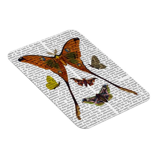 Magnet Flexible Plaque 2 (Côté Droit)