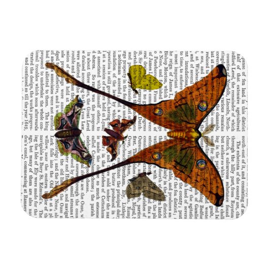 Magnet Flexible Plaque 2 (Horizontal)