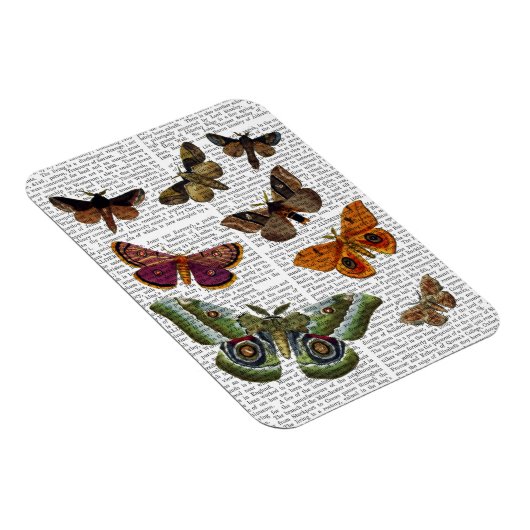 Magnet Flexible Plaque 3 (Côté Droit)