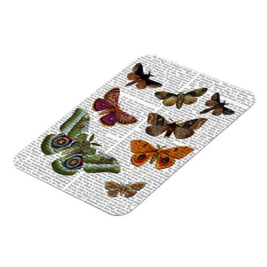 Magnet Flexible Plaque 3 (Côté Gauche)