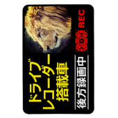 Magnet Flexible Plaque d'avertissement de l'ENREGISTREMENT de lect (Vertical)