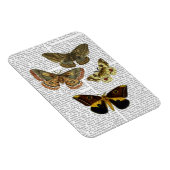 Magnet Flexible Plaque de papillon 4 (Côté Droit)