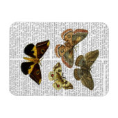 Magnet Flexible Plaque de papillon 4 (Horizontal)