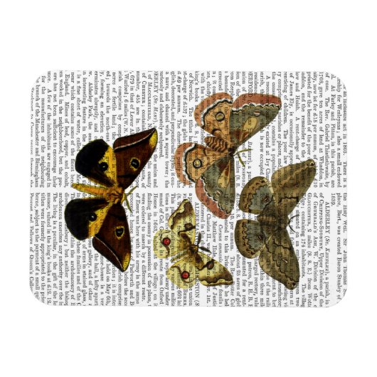 Magnet Flexible Plaque de papillon 4 (Horizontal)