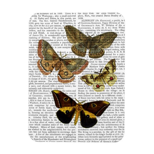 Magnet Flexible Plaque de papillon 4 (Vertical)