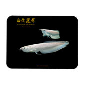 Magnet Flexible platinum Black Arowana (Horizontal)